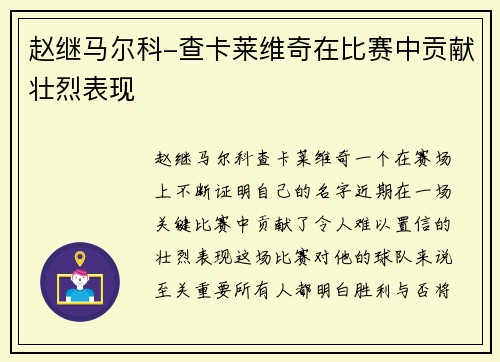 赵继马尔科-查卡莱维奇在比赛中贡献壮烈表现